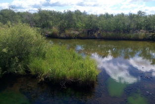哈爾濱與五大連池8日親子休閑游 火山奇景與冰雪樂趣的完美融合