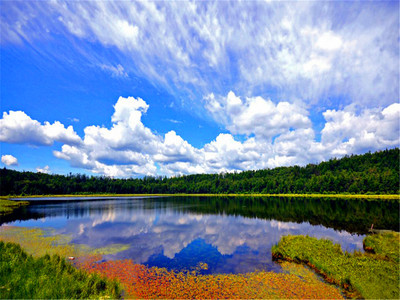 北國風(fēng)光全景環(huán)線 長春至阿爾山12日深度跟團游