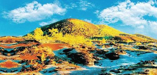 五大連池市 成功破局森林工業(yè)資源枯竭之路