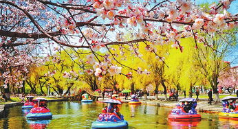 賞花觀鳥登山季 北國之春孕生機(jī)，五大連池的自然盛宴