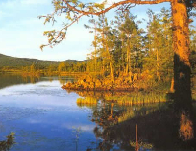 走馬五大連池 火山遺跡與自然奇觀的交融之旅