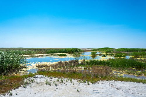 五大連池的五大池介紹