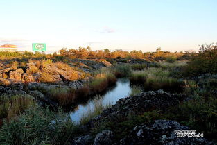 行走五大連池04 北飲泉，火山與生命的饋贈